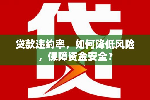 故城贷款违约率，如何降低风险，保障资金安全？