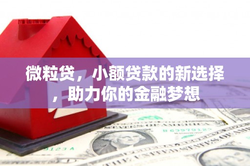 青神微粒贷，小额贷款的新选择，助力你的金融梦想