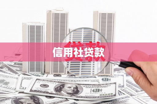 孝昌信用社贷款