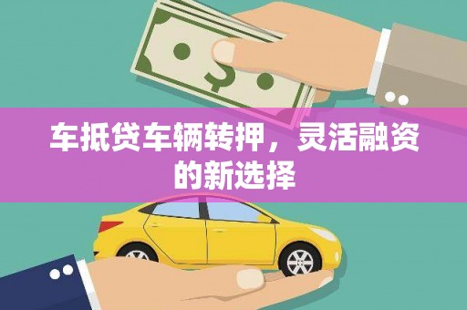 望谟车抵贷车辆转押，灵活融资的新选择