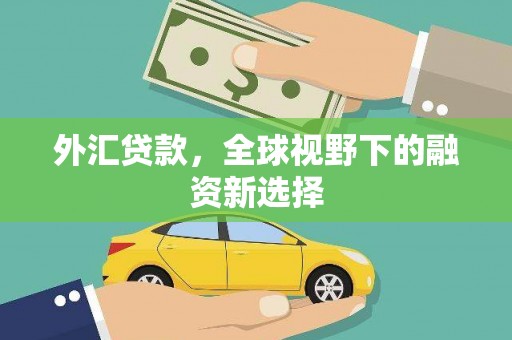 庆云外汇贷款，全球视野下的融资新选择