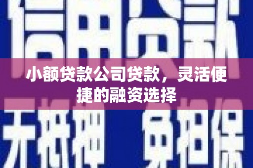 银川小额贷款公司贷款，灵活便捷的融资选择