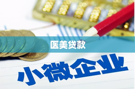 台西医美贷款
