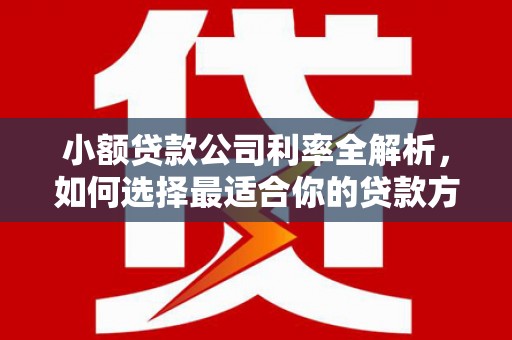 田阳小额贷款公司利率全解析，如何选择最适合你的贷款方案？