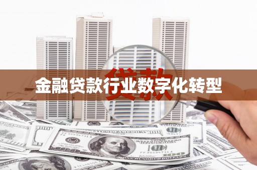 会理金融贷款行业数字化转型