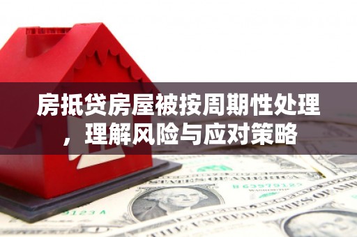 安康房抵贷房屋被按周期性处理，理解风险与应对策略