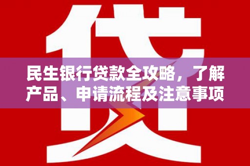 云霄民生银行贷款全攻略，了解产品、申请流程及注意事项