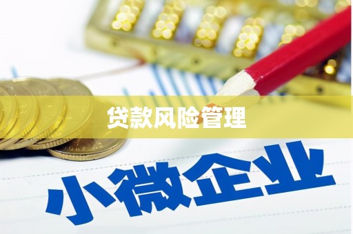 惠农贷款风险管理