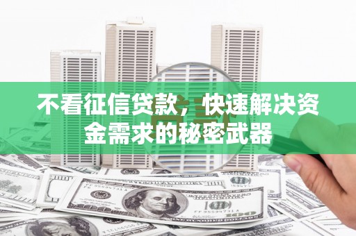 临洮不看征信贷款，快速解决资金需求的秘密武器