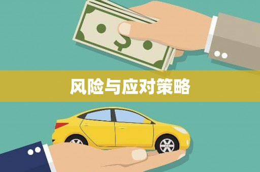 富宁风险与应对策略