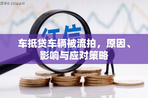 临洮车抵贷车辆被流拍，原因、影响与应对策略