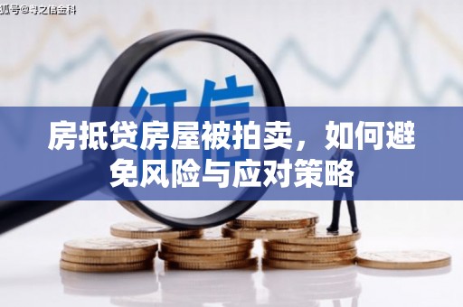 雷山房抵贷房屋被拍卖，如何避免风险与应对策略