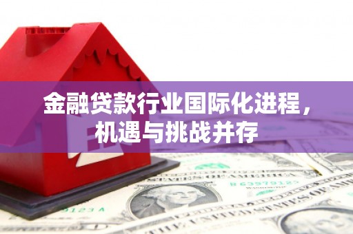 开阳金融贷款行业国际化进程，机遇与挑战并存