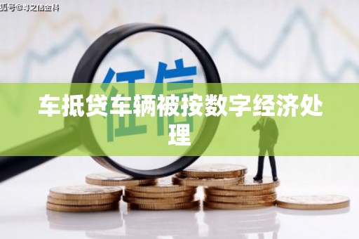 桃江车抵贷车辆被按数字经济处理