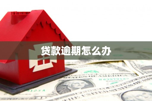 汉滨贷款逾期怎么办
