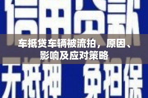 新乡车抵贷车辆被流拍，原因、影响及应对策略