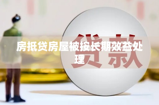 贞丰房抵贷房屋被按长期效益处理