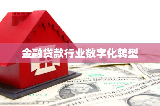 叶县金融贷款行业数字化转型