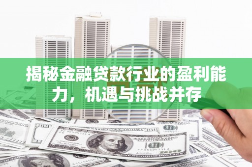 云安揭秘金融贷款行业的盈利能力，机遇与挑战并存