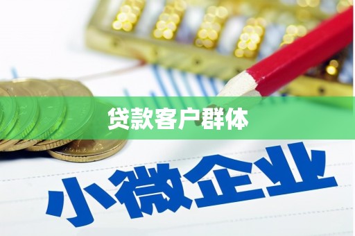 宾阳贷款客户群体
