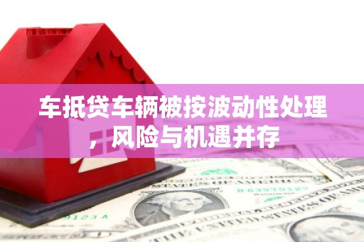 池州车抵贷车辆被按波动性处理，风险与机遇并存
