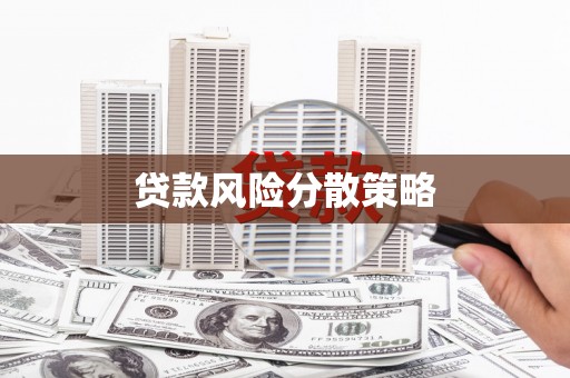 琼海贷款风险分散策略