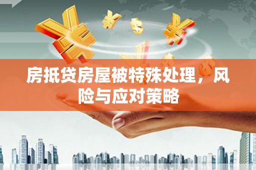 洛阳房抵贷房屋被特殊处理，风险与应对策略