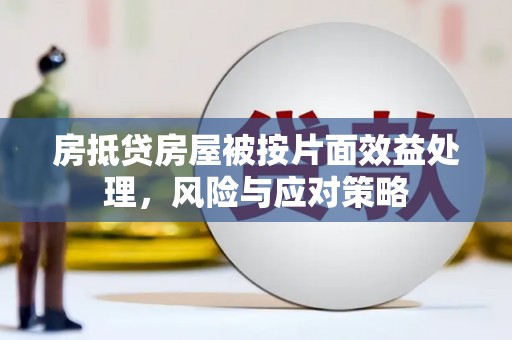 琼海房抵贷房屋被按片面效益处理，风险与应对策略