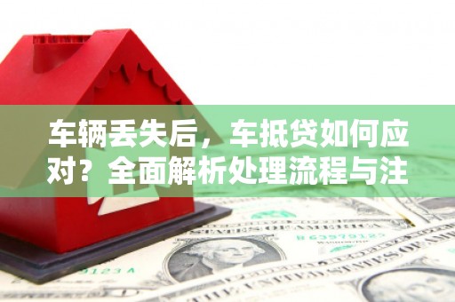 伊犁哈萨克车辆丢失后，车抵贷如何应对？全面解析处理流程与注意事项