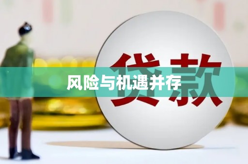 两江新区风险与机遇并存
