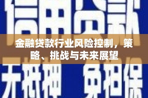 如东金融贷款行业风险控制，策略、挑战与未来展望