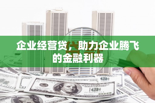 温宿企业经营贷，助力企业腾飞的金融利器