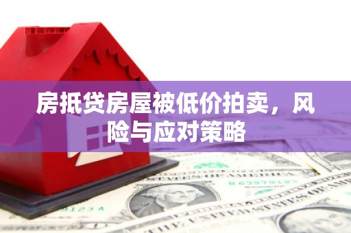 浔阳房抵贷房屋被低价拍卖，风险与应对策略