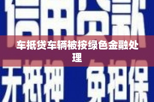 河源车抵贷车辆被按绿色金融处理