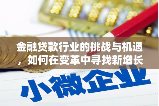 江苏金融贷款行业的挑战与机遇，如何在变革中寻找新增长点