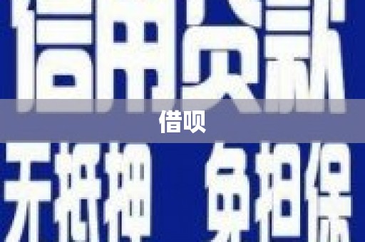 泸水借呗