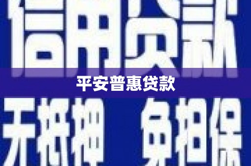武都平安普惠贷款