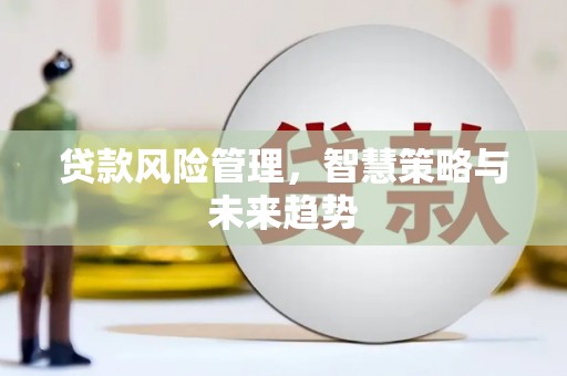 灌云贷款风险管理，智慧策略与未来趋势