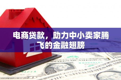抚松电商贷款，助力中小卖家腾飞的金融翅膀