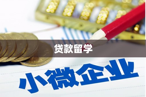 月湖贷款留学