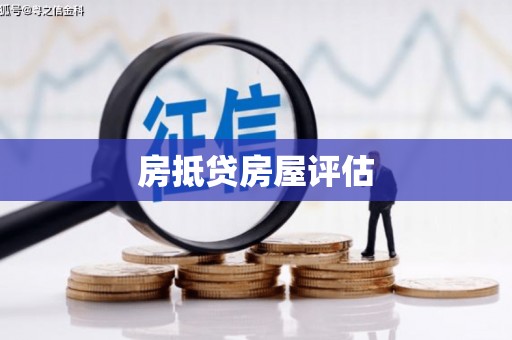 泸水房抵贷房屋评估