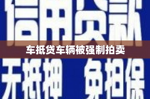 泸水车抵贷车辆被强制拍卖