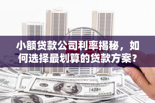 甘南小额贷款公司利率揭秘，如何选择最划算的贷款方案？