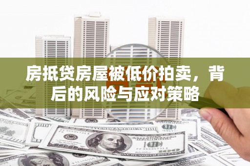 东丽房抵贷房屋被低价拍卖，背后的风险与应对策略