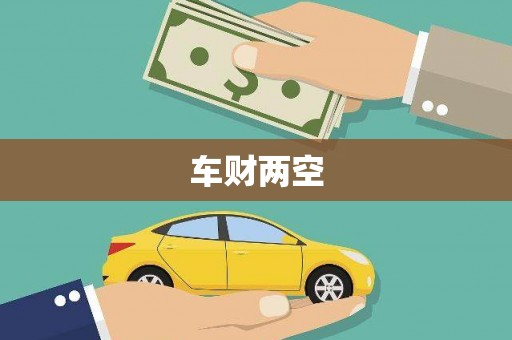 绥滨车财两空