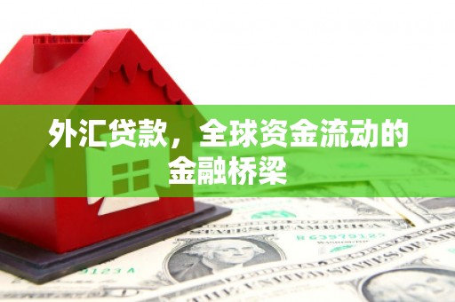 东洲外汇贷款，全球资金流动的金融桥梁