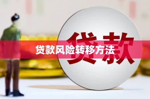 东洲贷款风险转移方法