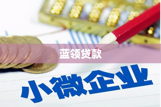 岳西蓝领贷款