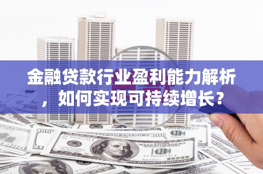 理县金融贷款行业盈利能力解析，如何实现可持续增长？