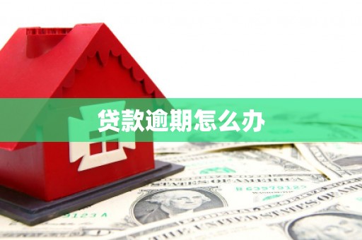 临朐贷款逾期怎么办